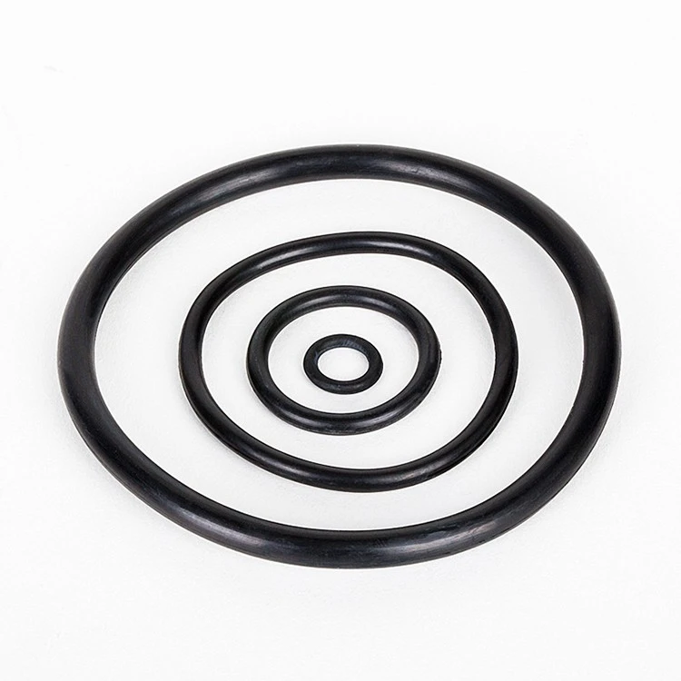 O-Ring Seal