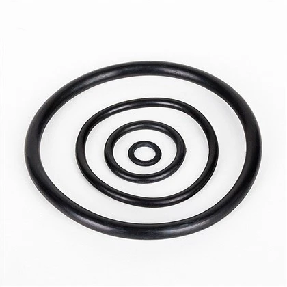 O-Ring Seal